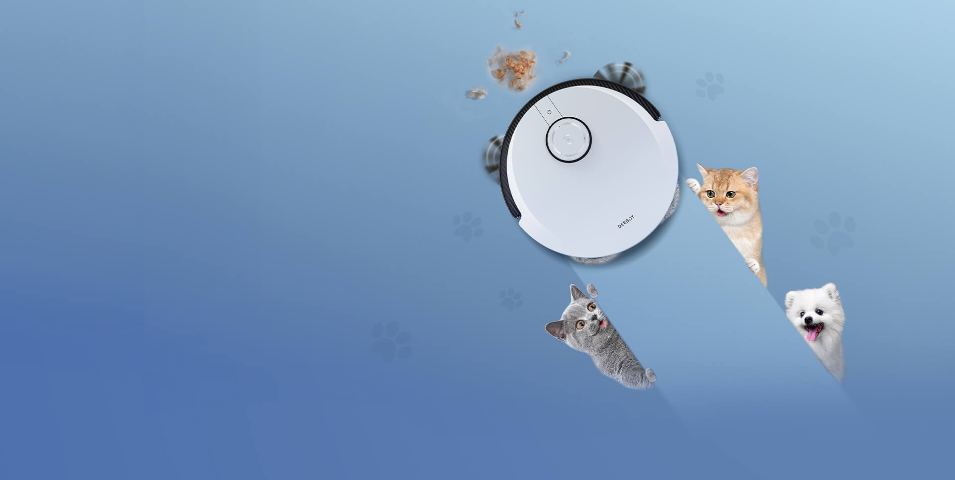 DEEBOT Pet Vacuum Cleaner DEEBOT Pet Vacuum Cleaner