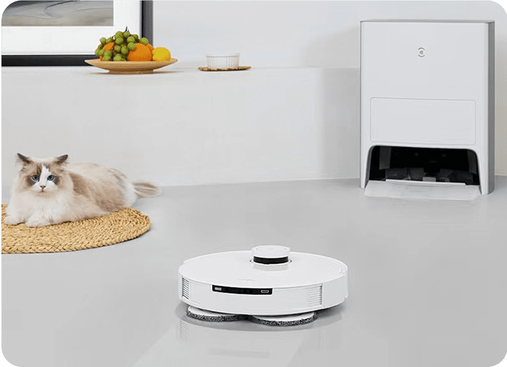 Vacuum Pet Hair on Hardwood Floors Vacuum Pet Hair on Hardwood Floors