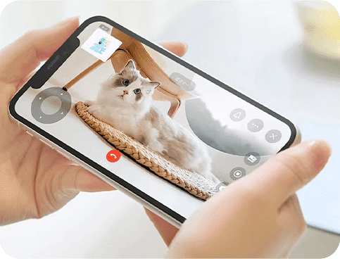 Live Monitoring Your Pet Live Monitoring Your Pet