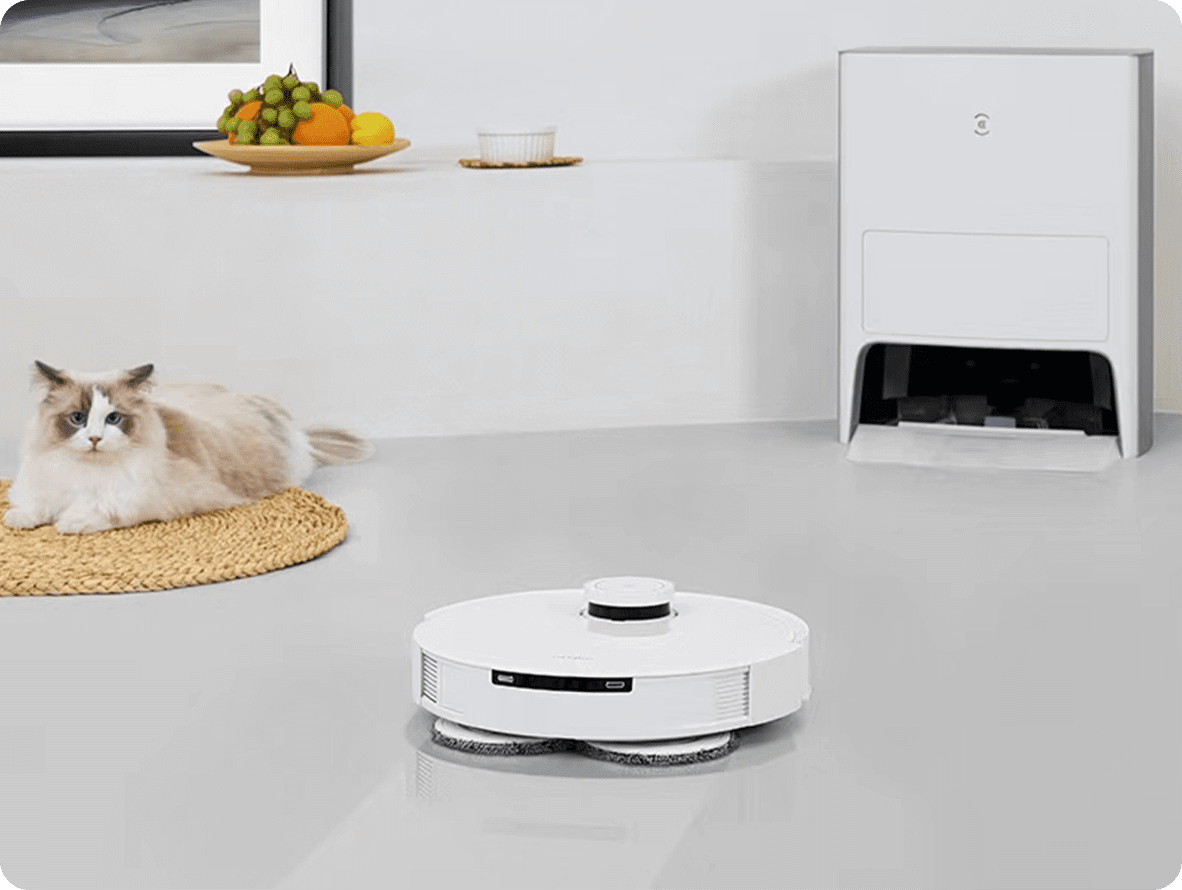 Vacuum Pet Hair on Hardwood Floors Vacuum Pet Hair on Hardwood Floors