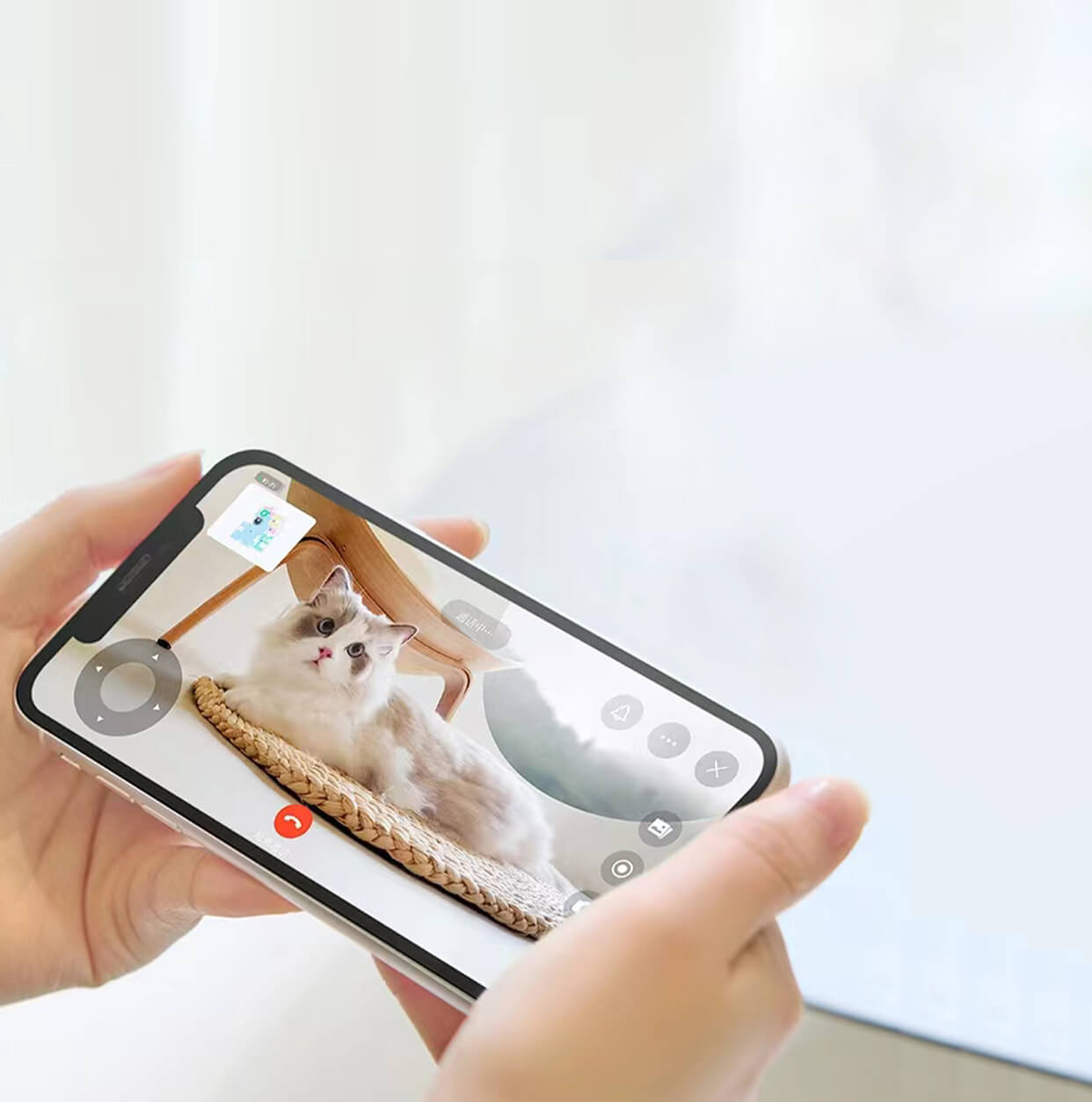 Live Monitoring your pet Live Monitoring your pet