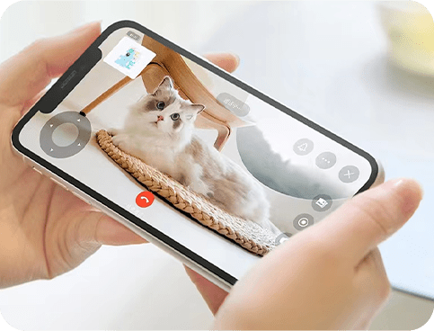 Live Monitoring your pet Live Monitoring your pet