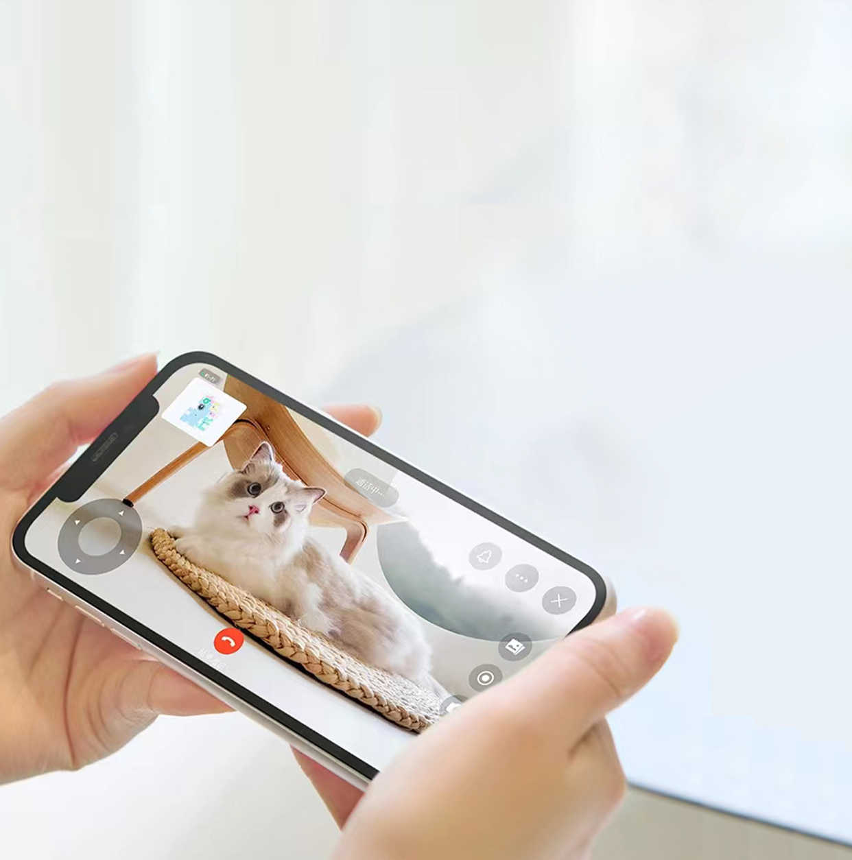 Live Monitoring your pet Live Monitoring your pet