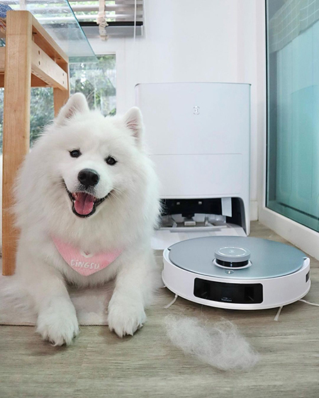 Pets with ECOVACS DEEBOT