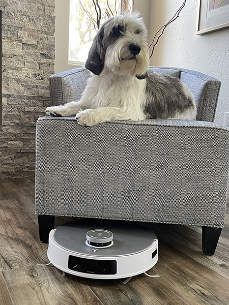 Pets with ECOVACS DEEBOT