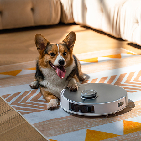 Pets with ECOVACS DEEBOT