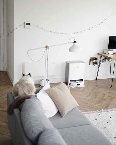 Pets with ECOVACS DEEBOT