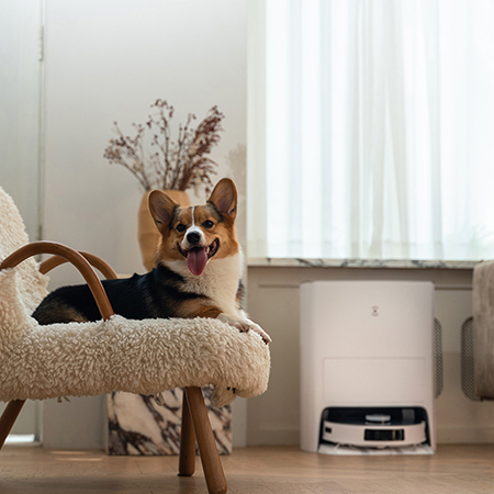 Pets with ECOVACS DEEBOT