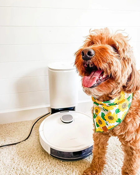 Pets with ECOVACS DEEBOT
