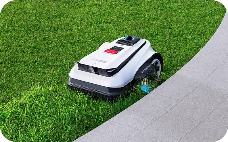 Every Edge, Perfectly Cut