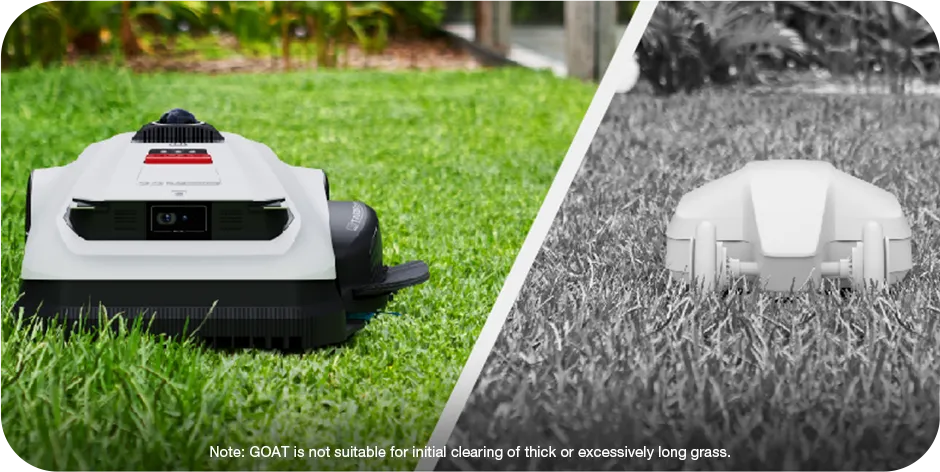 Perfect Cut, Even on Tough Grass