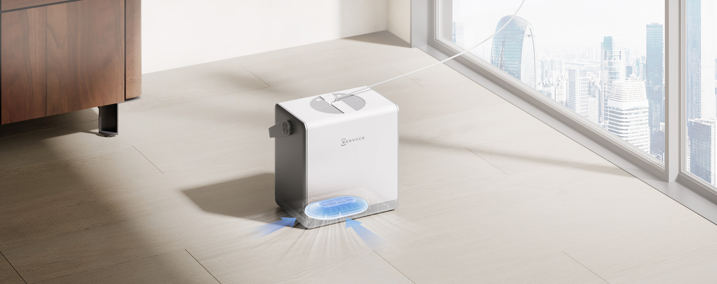 Ecovacs winbot