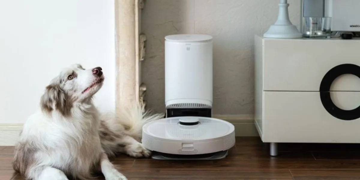 How to Introduce Your Dog to a Robot Vacuum?