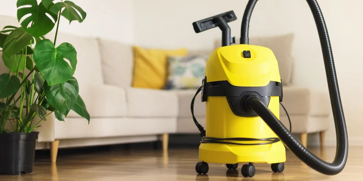 The Story of Vacuum Cleaners: Origins, Innovators And Milestones