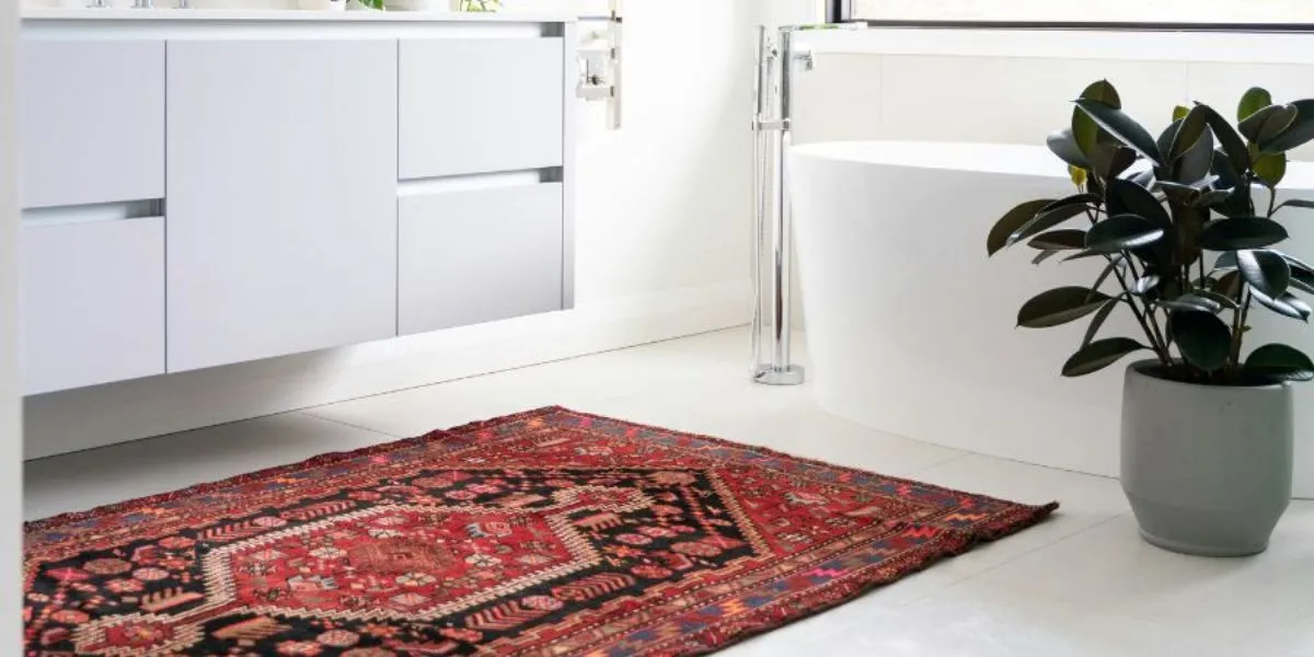 Can You Vacuum a Wet Carpet?