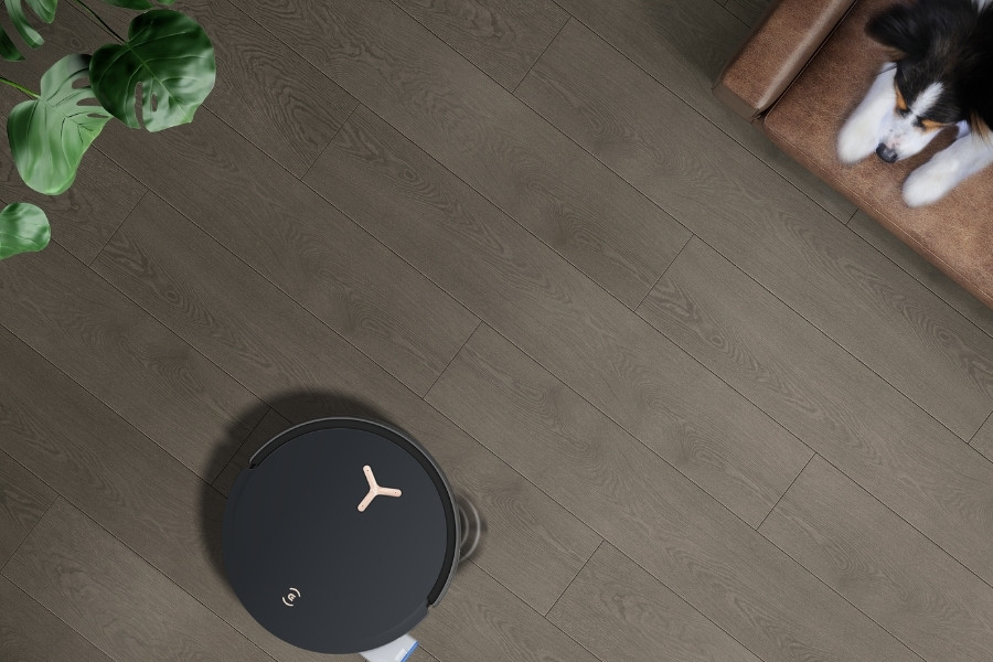 dog watching deebot robot vacuum