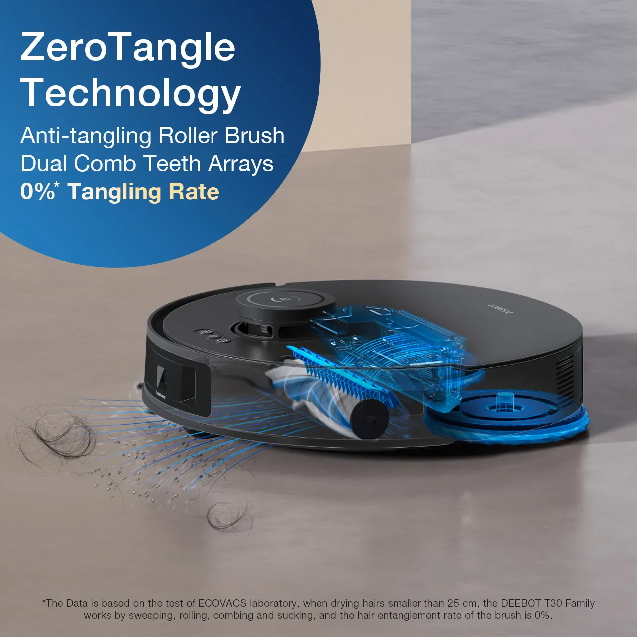 065602_7619 6ZeroTangle 2