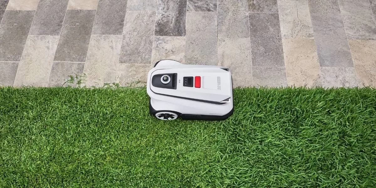 Können Mähroboter bis an den Rand mähen?