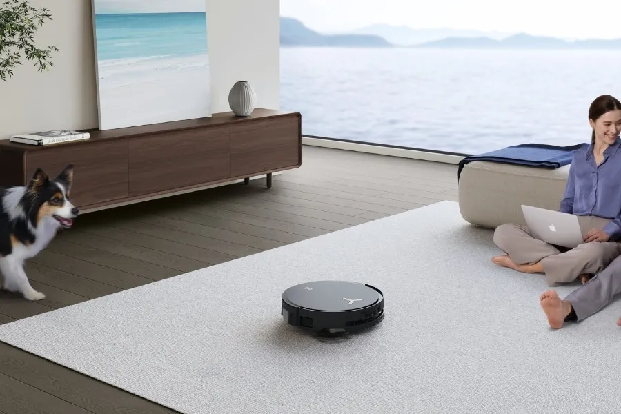 Warum Hunde Angst vor Staubsaugern haben (und was Sie dagegen tun können)