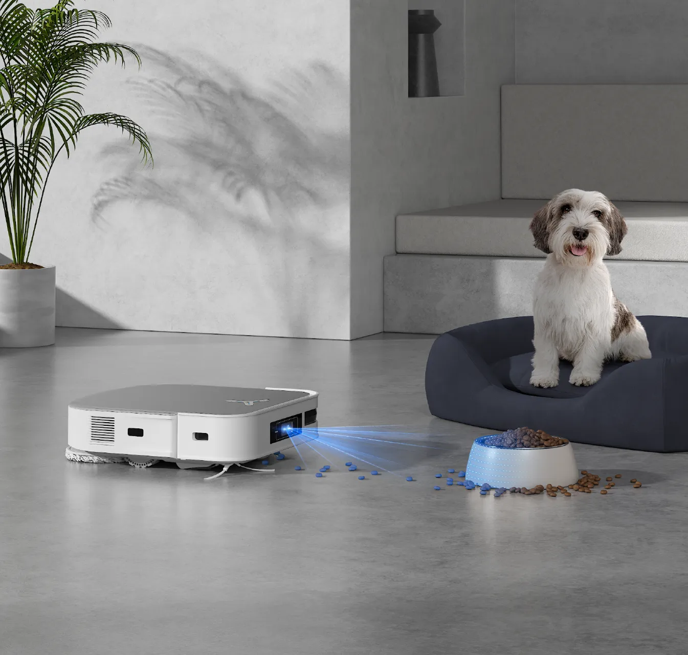 Haustierfreundlicher Modus