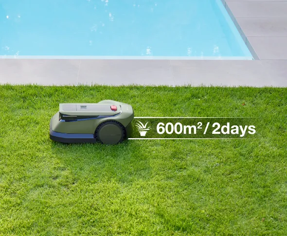 Mähen von 600 ㎡ Rasen in 2 Tagen