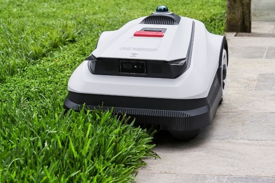 goat mahroboter maht hohes gras am rand