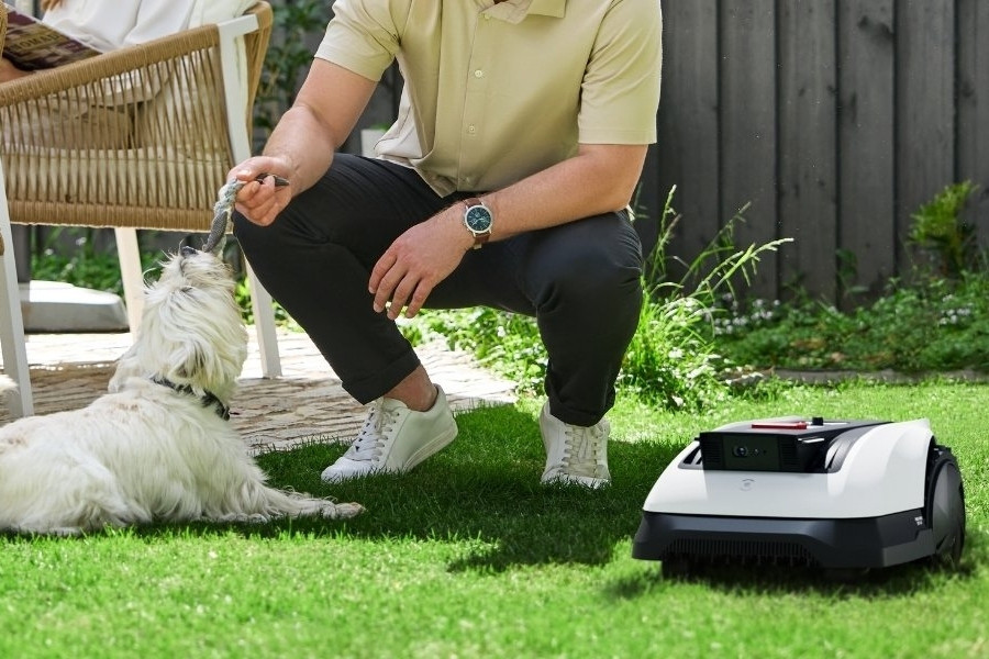 goat mahroboter lauft neben besitzer und hund im garten