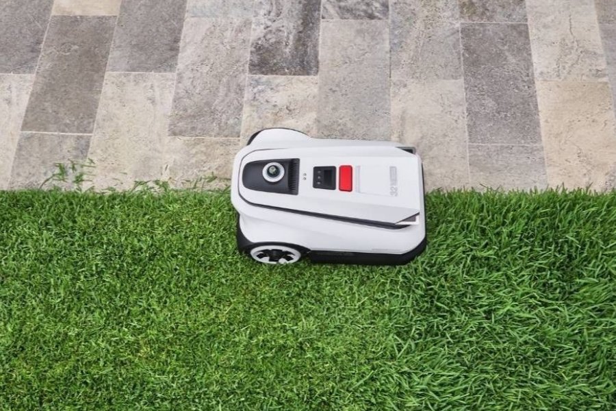 vue de dessus d'une tondeuse à gazon robotisée en forme de chèvre coupant le bord entre l'herbe et le carrelage