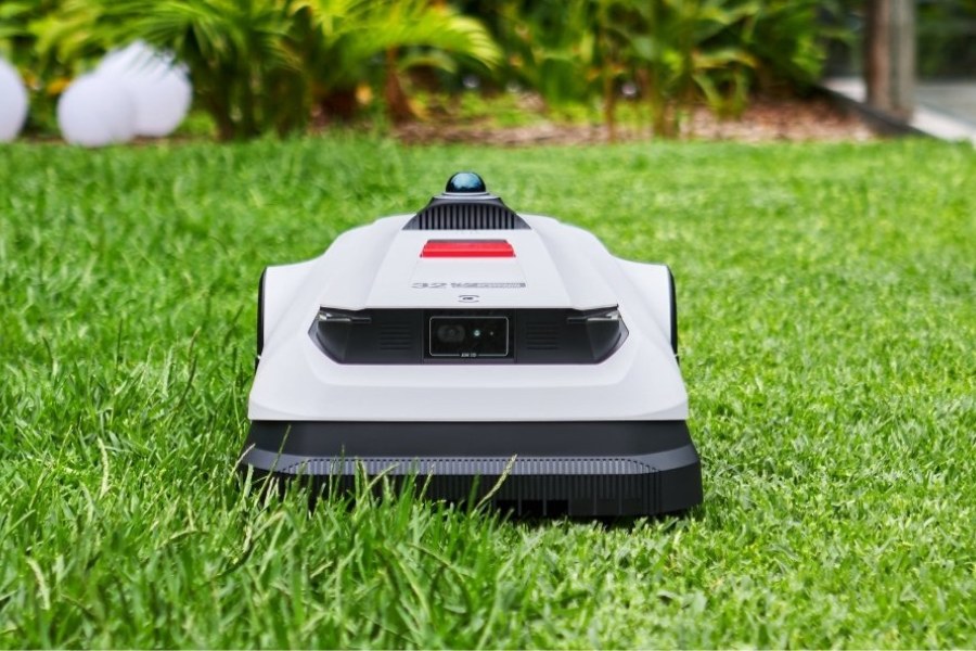 robot tondeuse chèvre tondant une petite pelouse