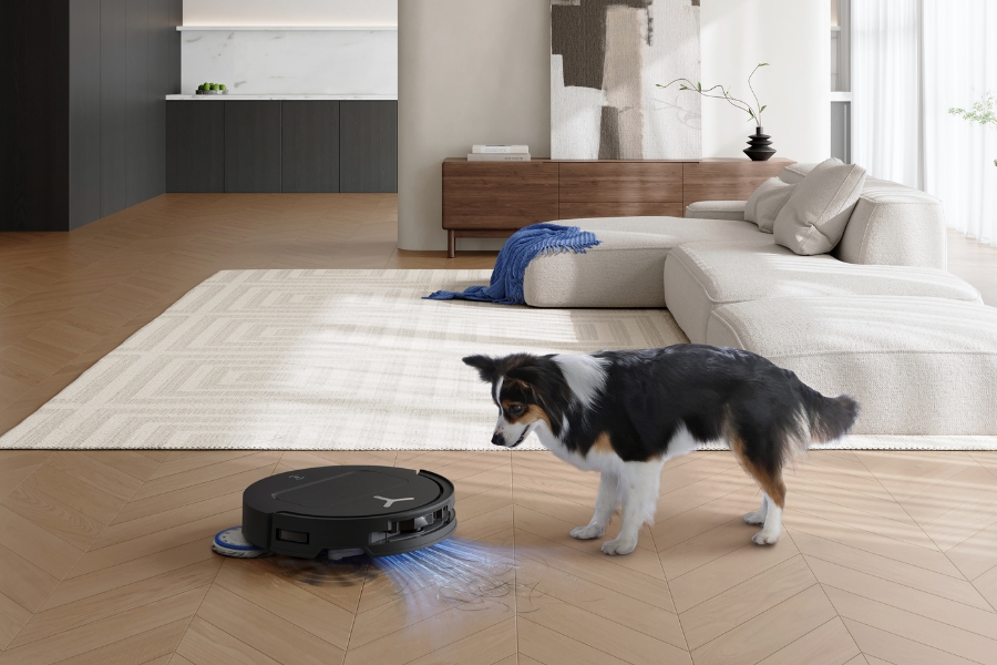 chien qui regarde un aspirateur robot deebot qui retire les poils du parquet