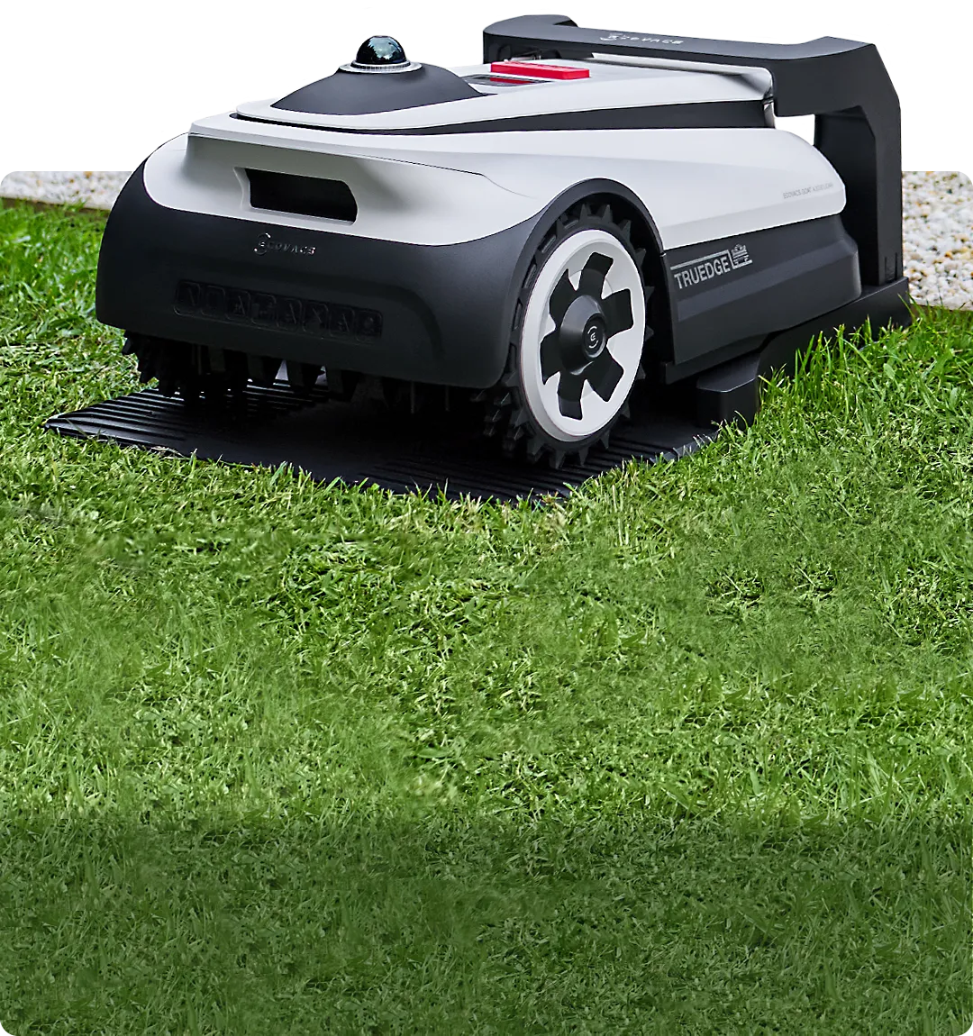 goat A3000 pc 540x5753