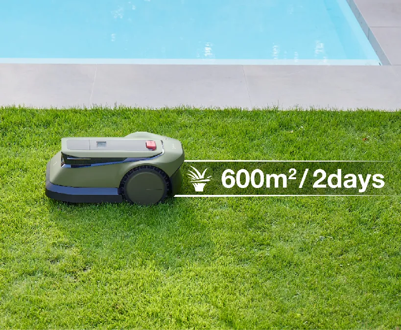 Mowing 600㎡ Lawn within 2 Days