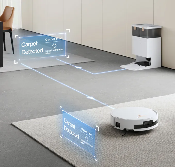 Professional Carpet Care  Tailored for Cleaning Carpets with Auto-Lifting