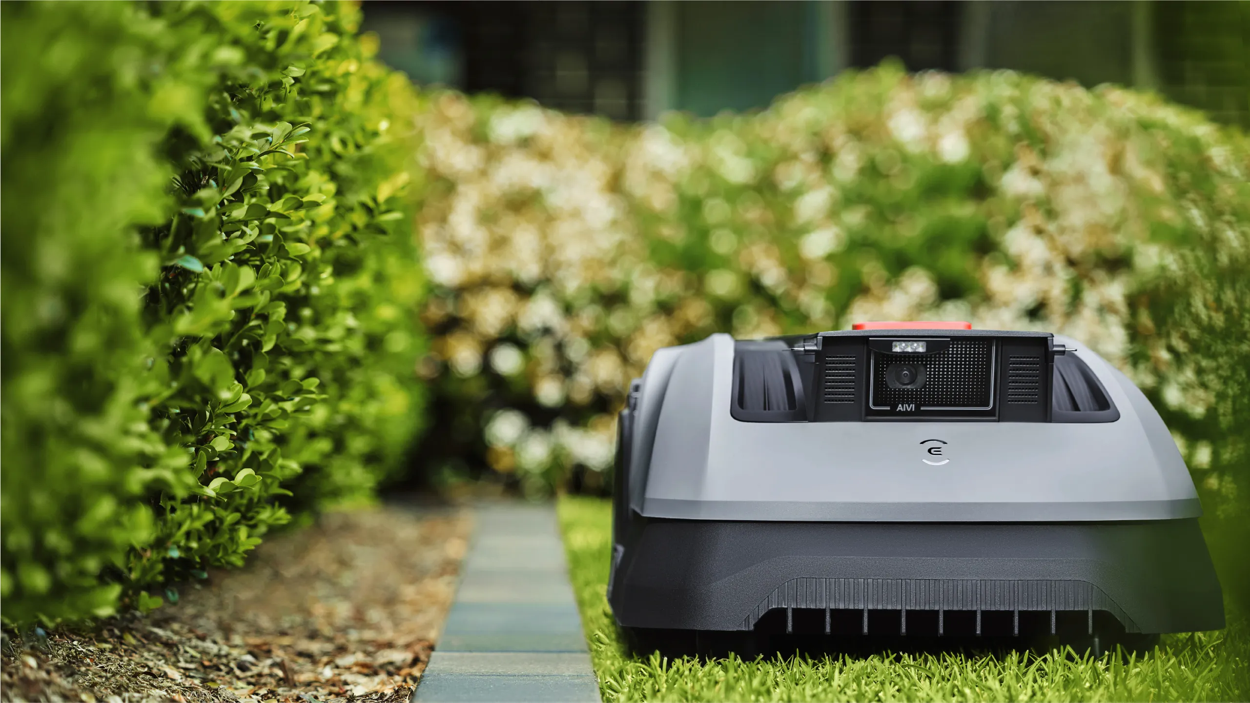 Perfezione nel taglio dei bordi, copertura uniforme del prato