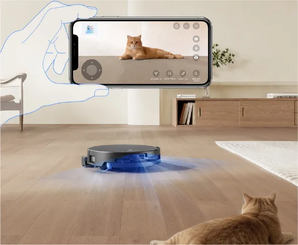 Upgraded Pet Care Strategy