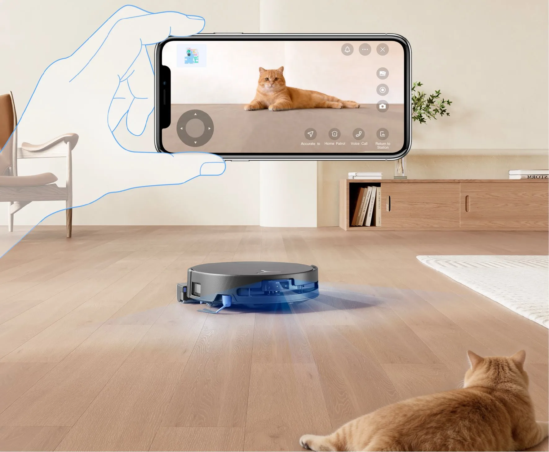 Atnaujinta naminių gyvūnų priežiūros strategija