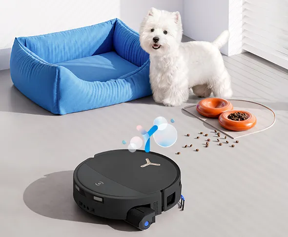 Upgraded Pet Care Strategy Upgraded Pet Care Strategy