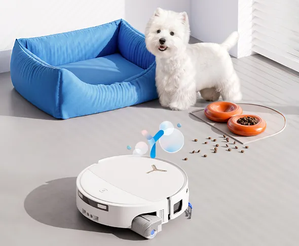 Upgraded Pet Care Strategy Upgraded Pet Care Strategy