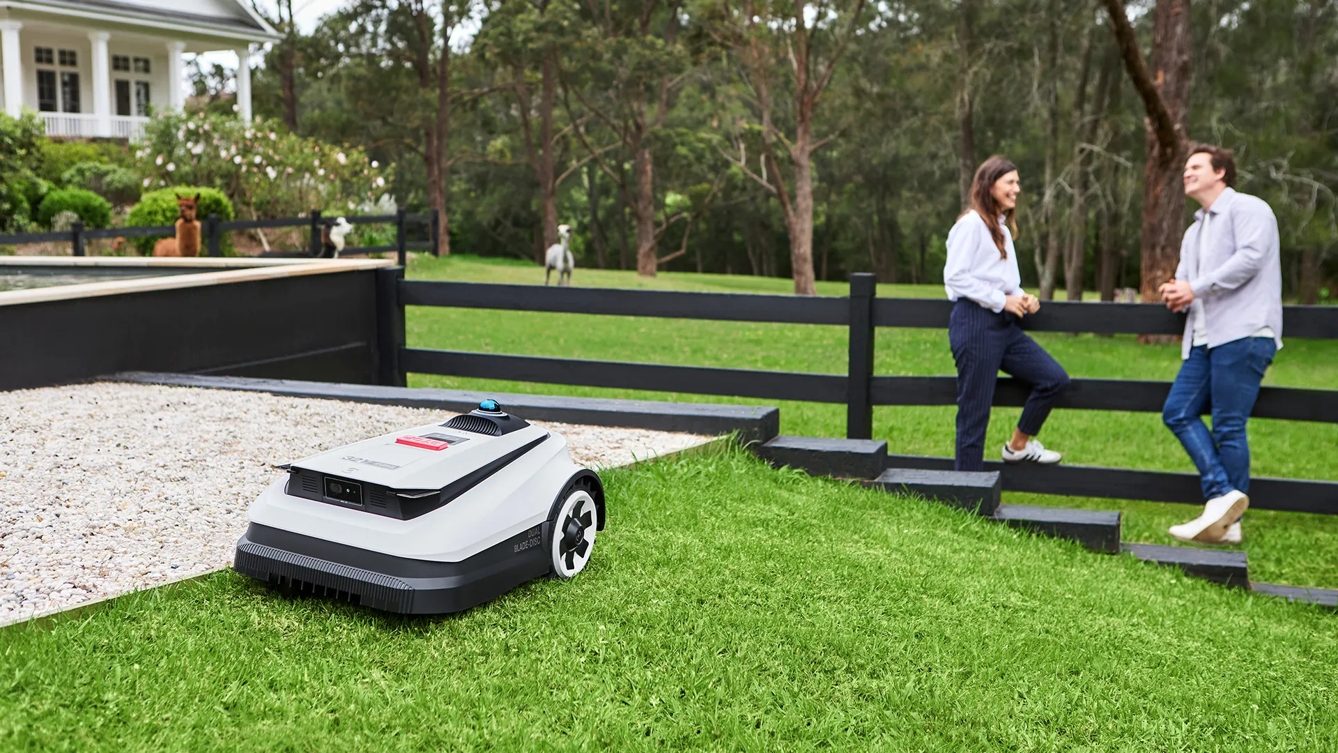 Efficienza di falciatura 3X* in più del secondo classificato potenzia le prestazioni perfette del tappeto