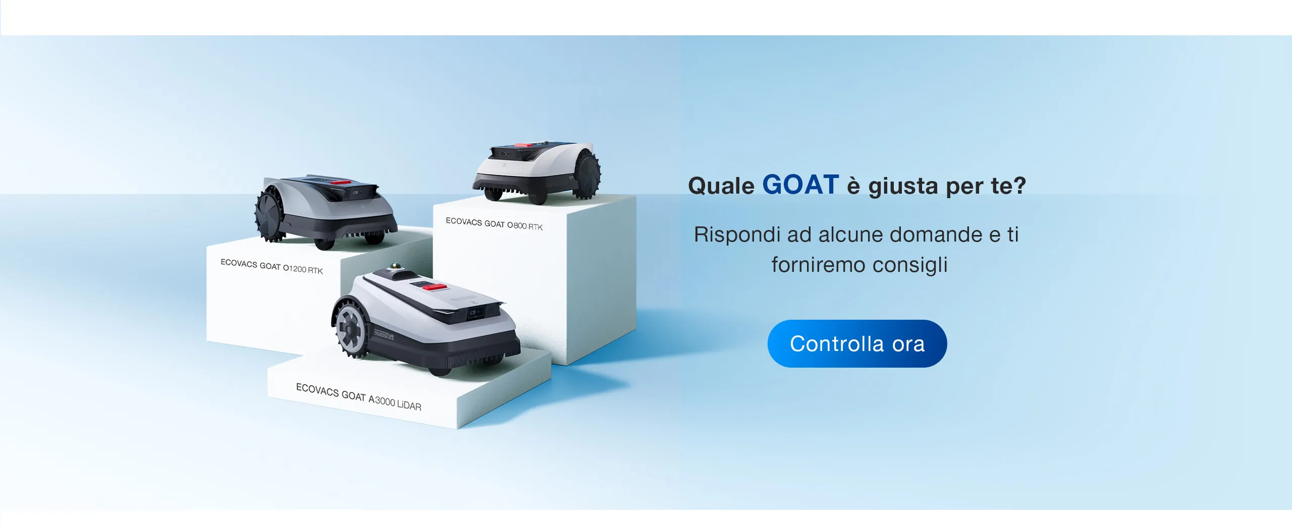 O Purchase Guidespec IT