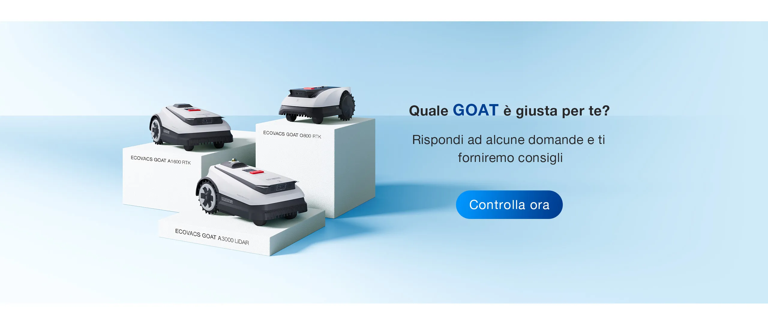 A Purchase Guidespec IT