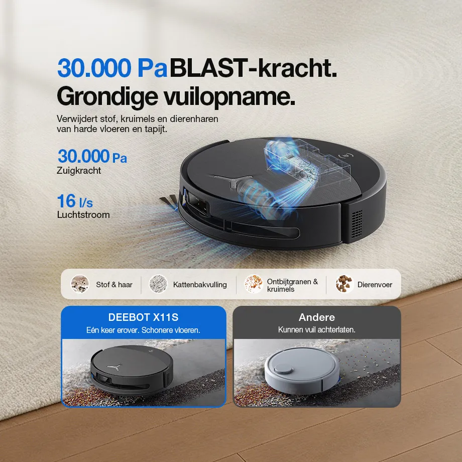 01 nl