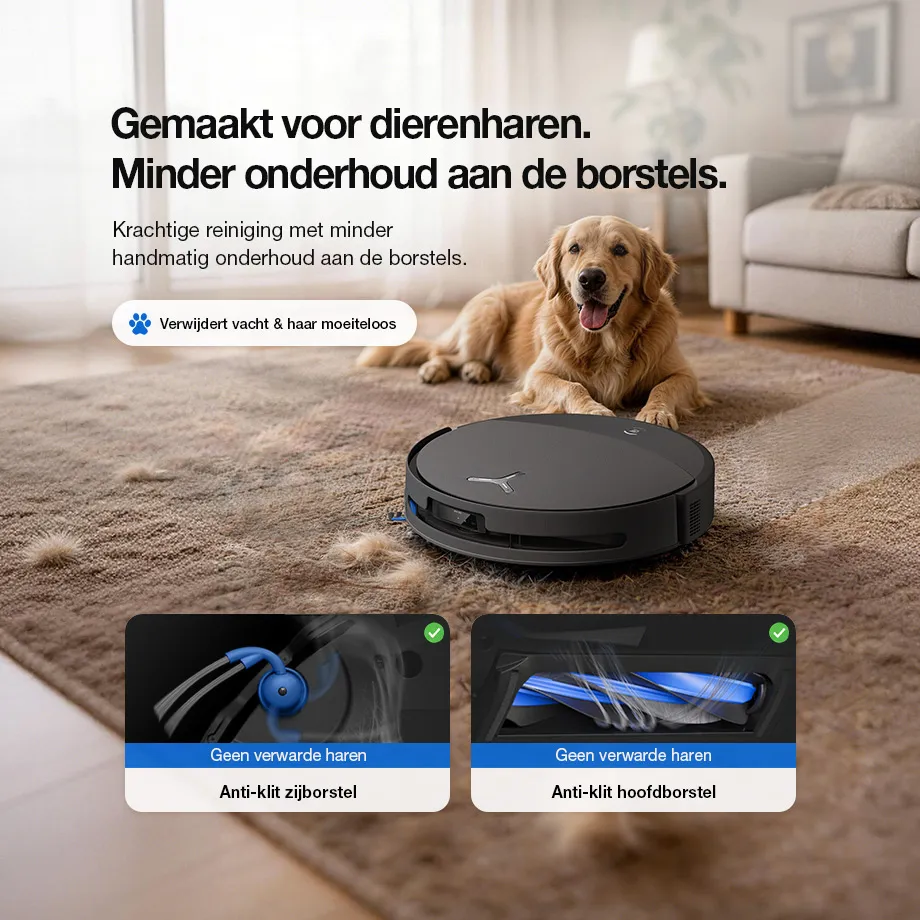 02 nl
