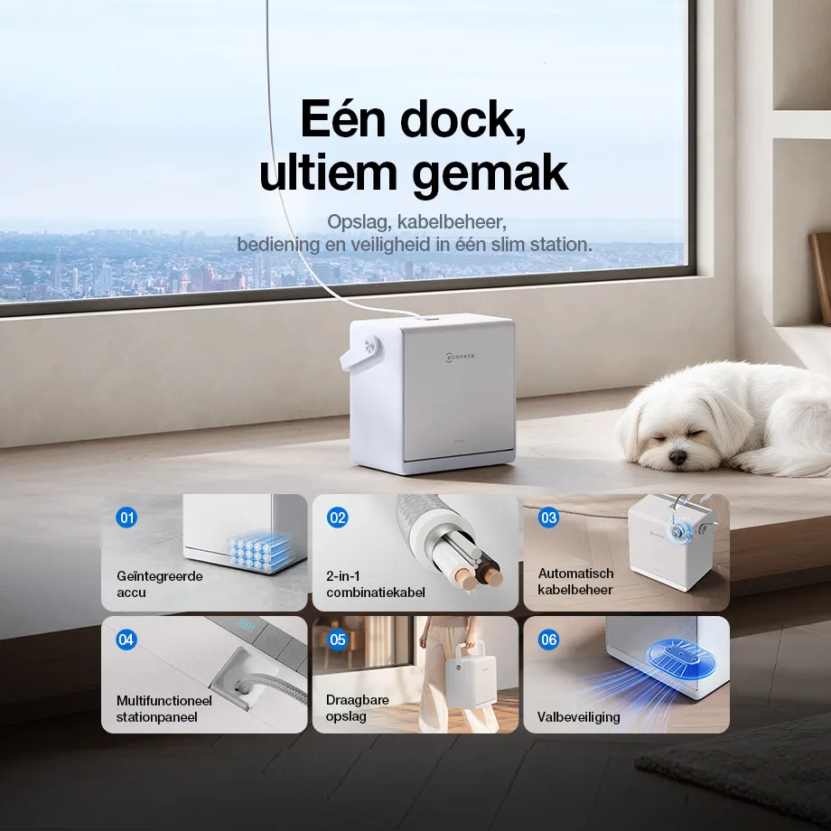 06 nl