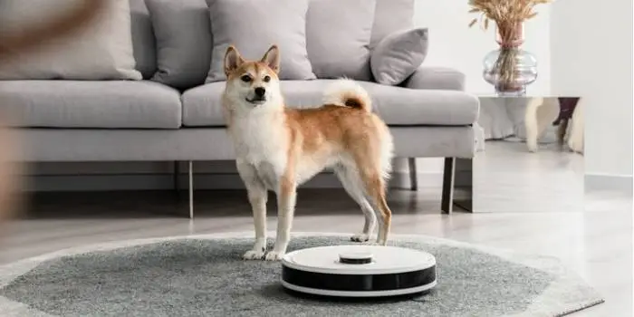 The Pet Lover's Guide to Choosing the Right Vacuum Robot for Animal Hair