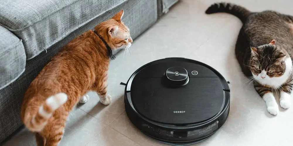 Vacuum Cleaner Robot with Mopping Function to Reduce Pet Dander