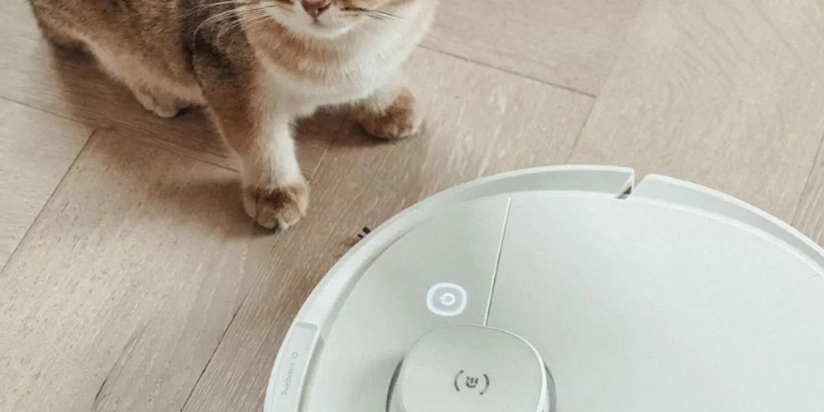 How To Choose The Right Robot Vacuums For Allergies?