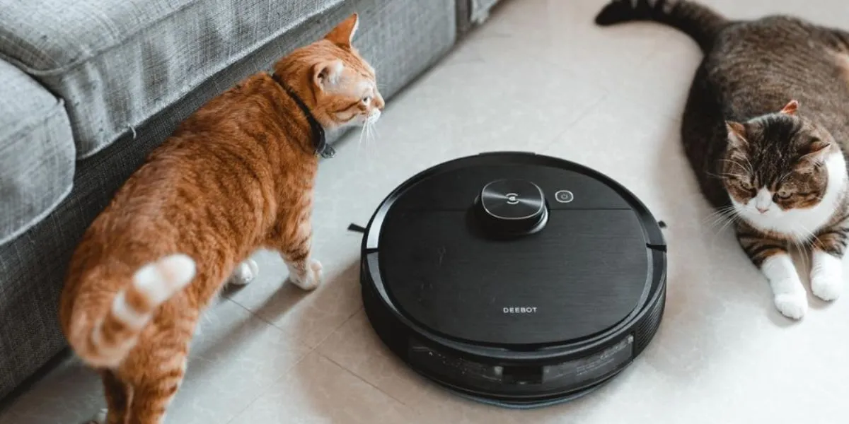 How To Choose A Robot Vacuum For Cat Litter?