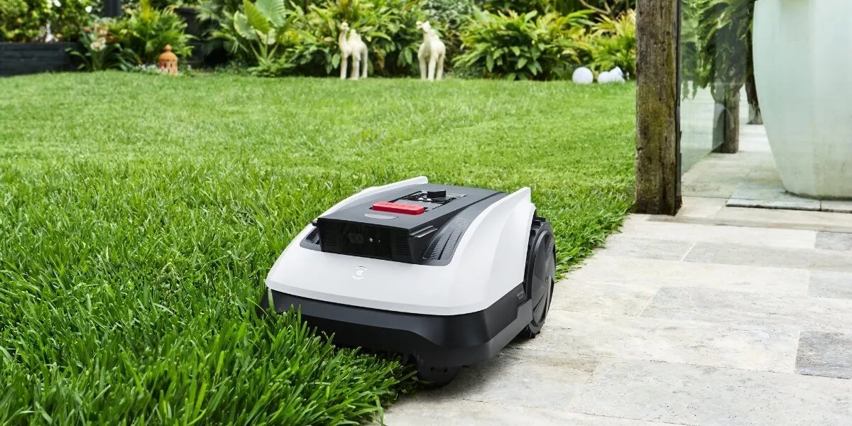 How Often Should You Mow for Perfect Grass?