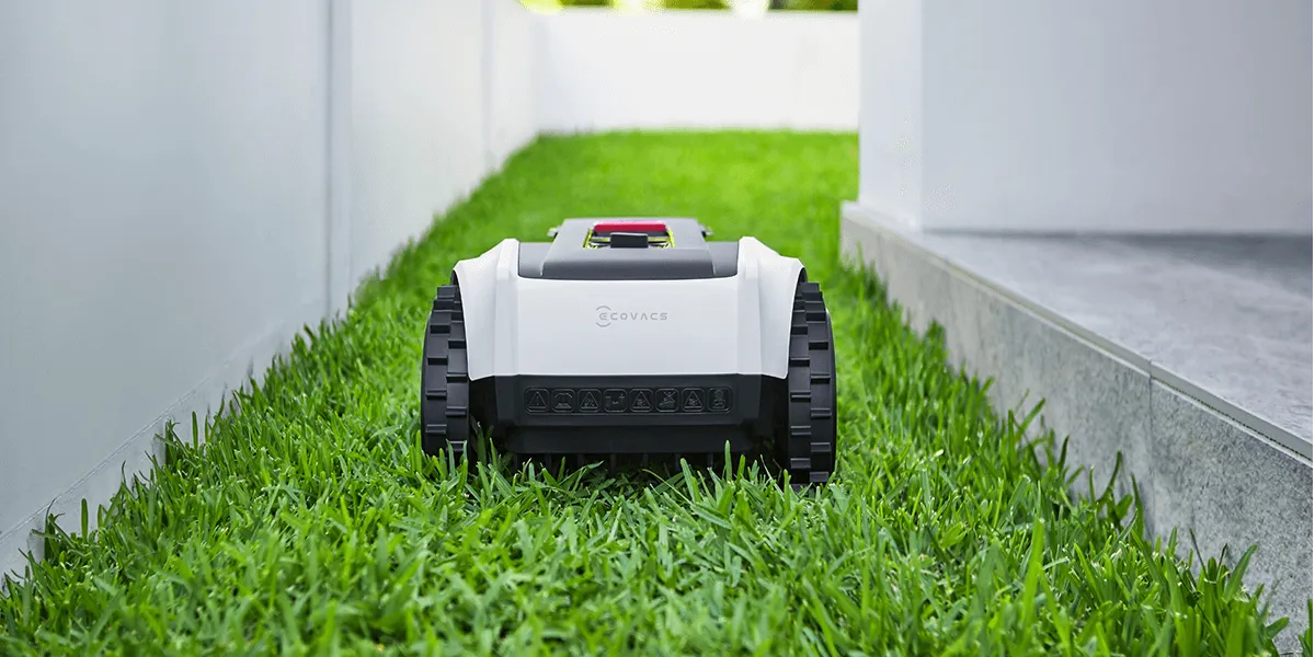 When Is The Best Time To Mow The Lawn?